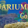 Games like Aquarium For Your Home: Goldfish