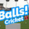 Games like Balls! Virtual Reality Cricket