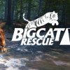 Games like Big Cat Rescue VR