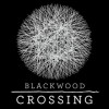 Games like Blackwood Crossing