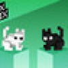 Games like Cat Box Paradox