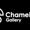 Games like Chameleon Gallery