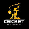 Games like Cricket Revolution