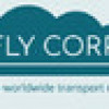 Games like Fly Corp