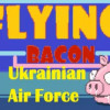 Games like Flying Bacon:Ukrainian Air Force