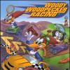 Games like Woody Woodpecker Racing