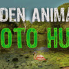 Games like Hidden Animals: Photo Hunt - Worldwide Safari