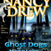 Games like Nancy Drew®: Ghost Dogs of Moon Lake