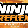 Games like Ninja Reflex: Steamworks Edition
