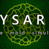 Games like PHYSARUM: Slime Mold Simulator
