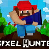 Games like Pixel Hunter
