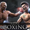 Games like Real Boxing