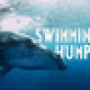 Games like Swimming with Humpbacks