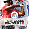 Games like Tiger Woods PGA Tour 11