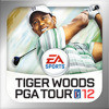 Games like Tiger Woods PGA Tour 12
