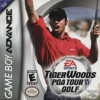 Games like Tiger Woods PGA Tour Golf