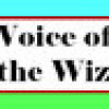 Games like Voice of the Wizard by Brett Farkas