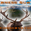 Games like Wilderness Survival: The Conservationist