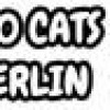 Games like 100 Cats Berlin