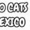 Games like 100 Cats Mexico