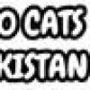 Games like 100 Cats Pakistan
