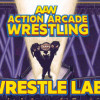 Games like AAW Wrestle Lab