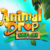 Games like Animal Drop Safari