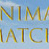 Games like Animal Match