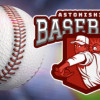 Games like Astonishing Baseball Manager 20