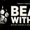 Games like Bear With Us
