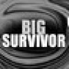 Games like Big Survivor