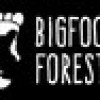 Games like Bigfoot Forest
