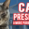 Games like Cat President ~A More Purrfect Union~