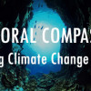Games like Coral Compass: Fighting Climate Change in Palau
