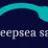 Games like Deepsea Salvor