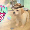 Games like Dream Pets VR