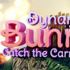 Games like Dynamite Bunny: Catch The Carrot