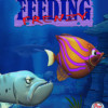 Games like Feeding Frenzy