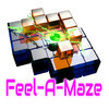 Games like Feel-A-Maze