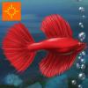 Games like Fish Tycoon