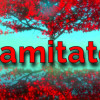 Games like Gamitate - Meditate, Relax, Feel Better