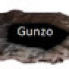 Games like GUNZO!