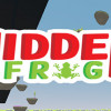 Games like HiddenFrog