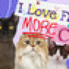 Games like I Love Finding MORE Cats