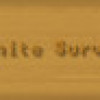 Games like Infinite Survival
