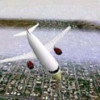 Games like Microsoft Flight Simulator 98