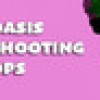 Games like Oasis Shooting Ops