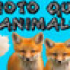 Games like Photo Quiz - Animals