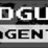 Games like Rogue Agent