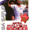 Games like Sega Worldwide Soccer 97